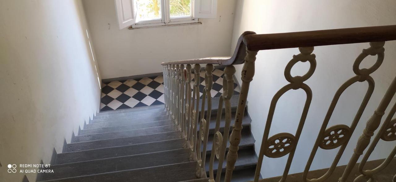Appartamento Desiderio Pisa Esterno foto